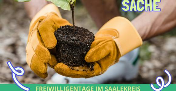 Freiwilligentage im Saalekreis 23. – 25.08.2024